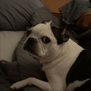 Meet your Posher, Nathan